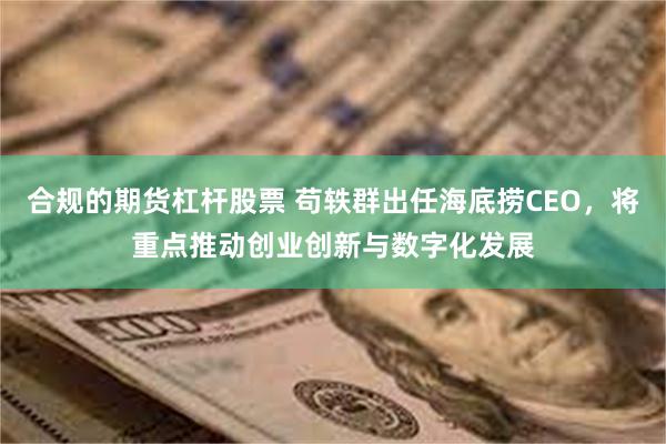 合规的期货杠杆股票 苟轶群出任海底捞CEO，将重点推动创业创新与数字化发展