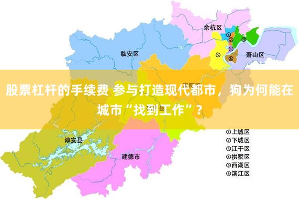 股票杠杆的手续费 参与打造现代都市，狗为何能在城市“找到工作”？