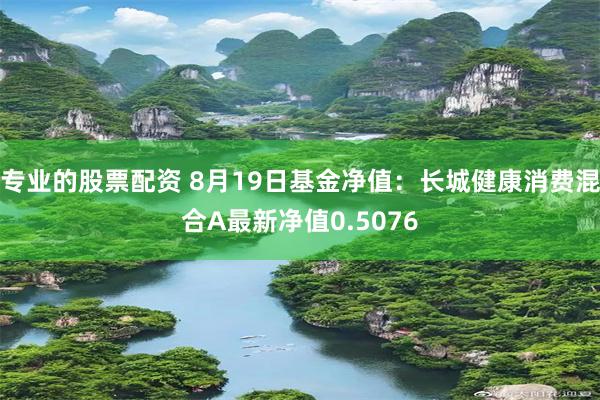 专业的股票配资 8月19日基金净值：长城健康消费混合A最新净值0.5076