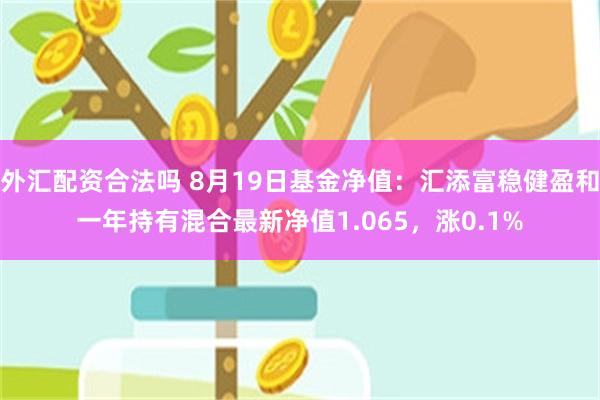 外汇配资合法吗 8月19日基金净值：汇添富稳健盈和一年持有混合最新净值1.065，涨0.1%