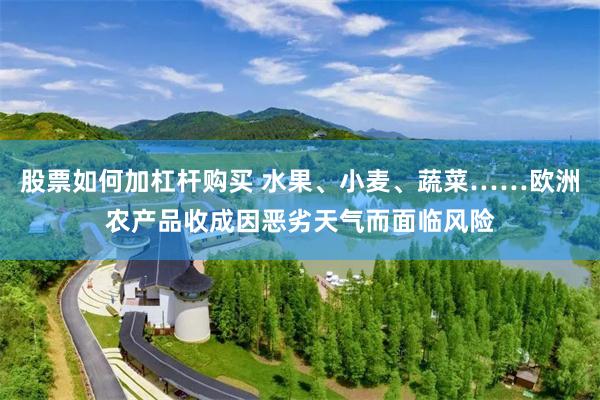 股票如何加杠杆购买 水果、小麦、蔬菜……欧洲农产品收成因恶劣天气而面临风险