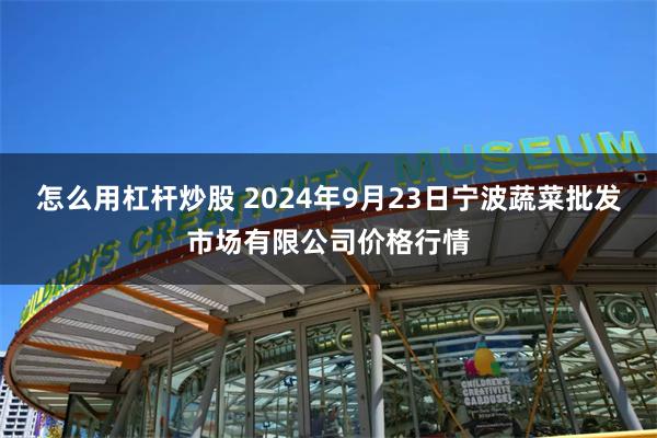 怎么用杠杆炒股 2024年9月23日宁波蔬菜批发市场有限公司价格行情