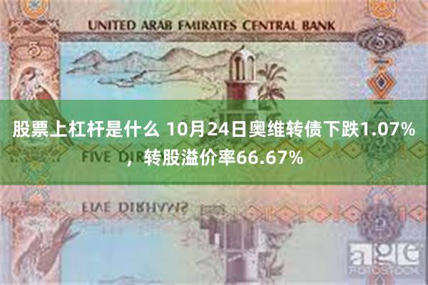 股票上杠杆是什么 10月24日奥维转债下跌1.07%，转股溢价率66.67%