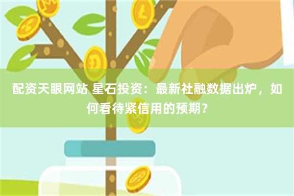 配资天眼网站 星石投资：最新社融数据出炉，如何看待紧信用的预期？