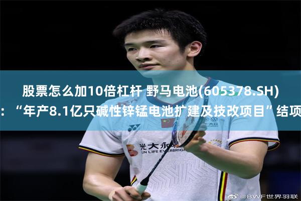 股票怎么加10倍杠杆 野马电池(605378.SH)：“年产8.1亿只碱性锌锰电池扩建及技改项目”结项