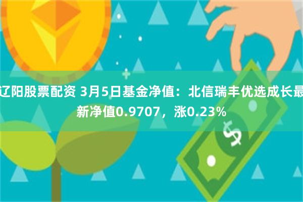 辽阳股票配资 3月5日基金净值：北信瑞丰优选成长最新净值0.9707，涨0.23%